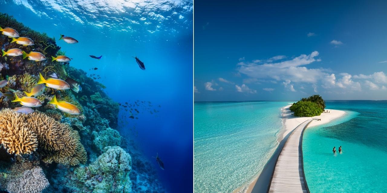 delhi-to-lakshadweep (1)